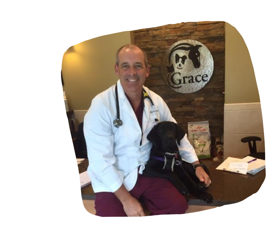 Dr. Tim Loonam with canine patient